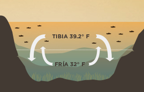Rotacion de Agua en Primavera