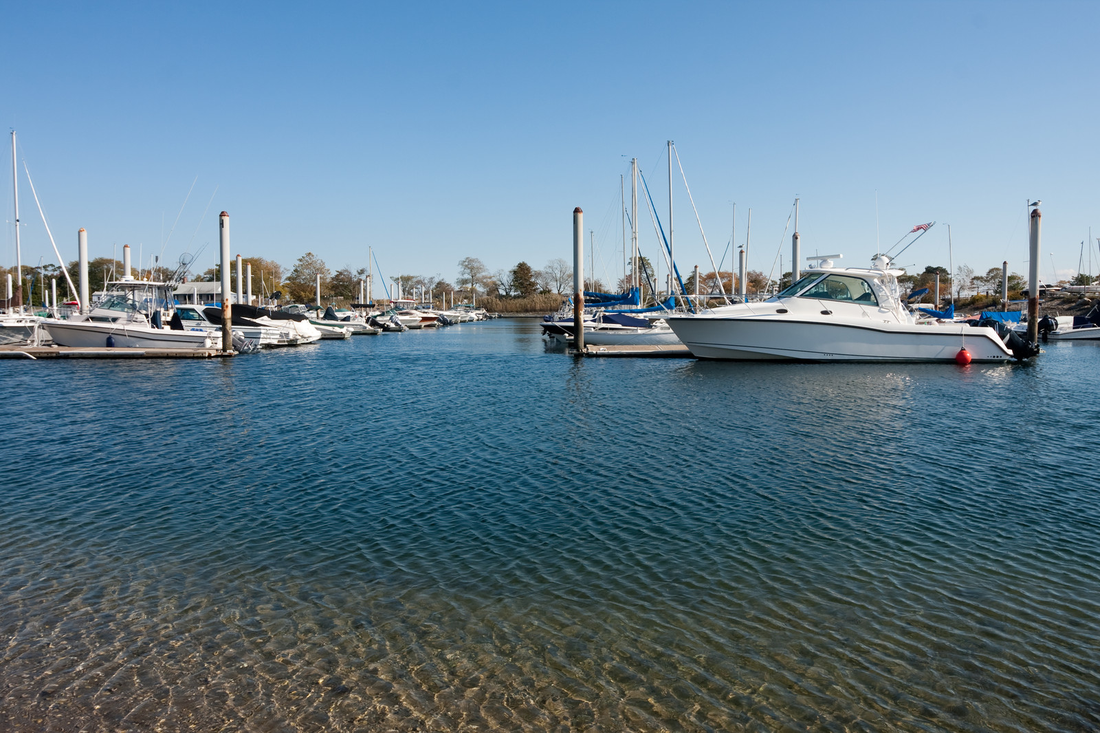 Barcos de Pesca