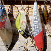 Aparejos de Pesca