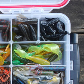 RI Free Fishing Days
