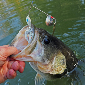 Local Ohio Fishing Reports
