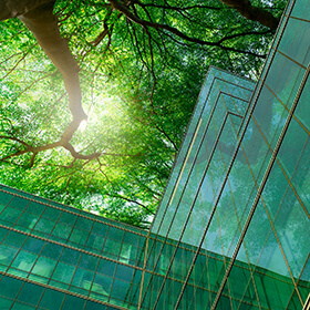 A tree and the sun and an eco building